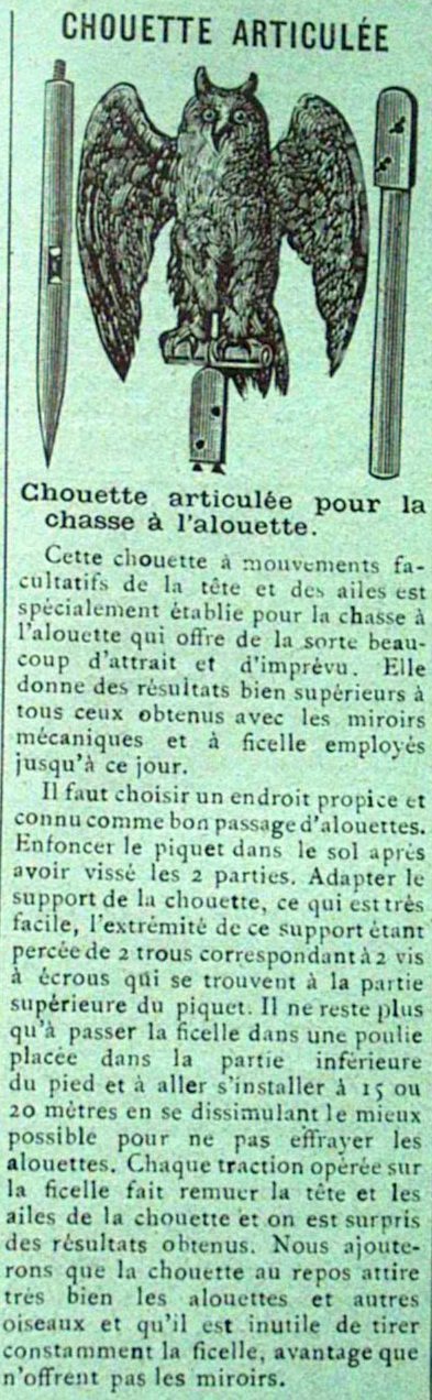 Chouette Articulée